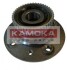 Комплект колесных подшипников KAMOKA 5500001 (фото 1)