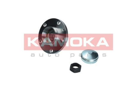 Комплект колесных подшипников KAMOKA 5500169