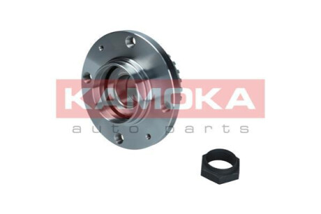 Комплект колесных подшипников KAMOKA 5500205