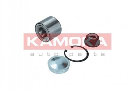Комплект колесных подшипников KAMOKA 5600101 (фото 1)