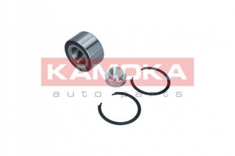 Комплект колісних підшипників KAMOKA 5600102 (фото 1)