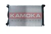 Радиатор, система охлаждения двигателя KAMOKA 7700063 (фото 1)