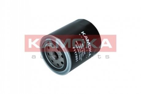 Оливний фільтр KAMOKA F117801