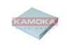 Фільтр, повітря у салоні KAMOKA F423801 (фото 1)