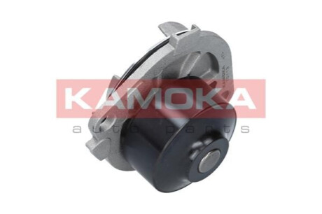 KAMOKA T0113