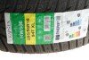 Шина IceMax Kapsen 205/55R16 XL RW506 (фото 2)