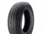 Шина IceMax Kapsen 205/65R15 RW501 (фото 1)