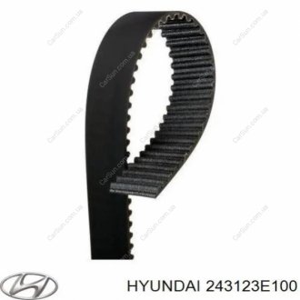 Ремінь Kia/Hyundai 243123E100 (фото 1)