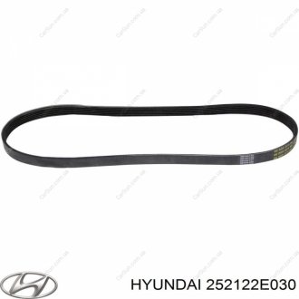 Ремень поликлиновый Kia/Hyundai 252122E030 (фото 1)