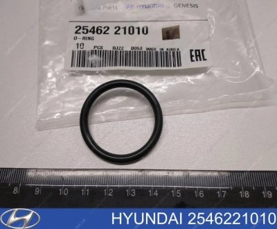 Кольцо уплотнительное шланга системы охлаждения (25462-21010) Kia/Hyundai 2546221010 (фото 1)