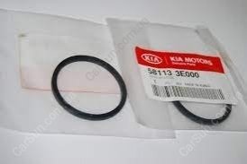 Пильовик поршня гальмівного супорта Kia/Hyundai 58113-3E000 (фото 1)