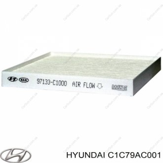 Фільтр повітряний кондиціонера (салону) Kia/Hyundai C1C79AC001 (фото 1)
