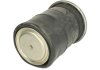 Подушка пневмоподвески - MAGNUM TECHNOLOGY 5002030147P (фото 1)