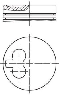 Поршень MAHLE / KNECHT 029 81 01 (фото 1)