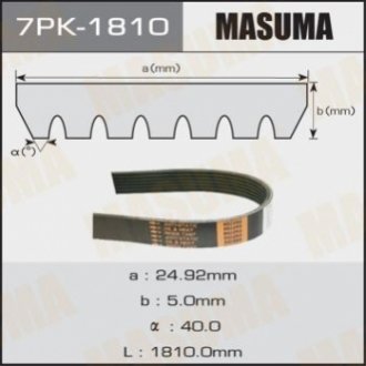 MASUMA 7PK1810 (фото 1)