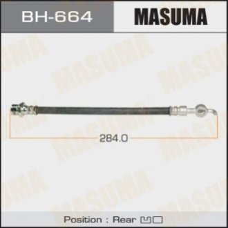 MASUMA BH664