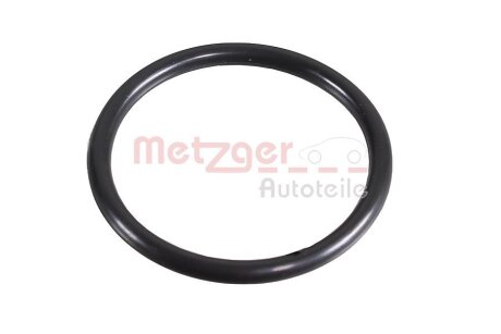 Автозапчастина METZGER 2430067