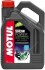 Масло для 2T двигателей Snow Power 2Т 4л - MOTUL 812207 (фото 1)