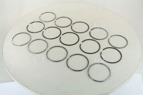 Кольца поршневые VAG 5 Cyl. 81,00 2,5 x 2,0 x 3,00 mm (выр-во) NPR 795041-00-5 (фото 1)