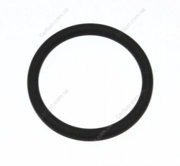 Кольцо уплотнительное Opel 55582541 (фото 1)