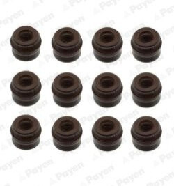 VALVE STEM SEALS SETS Payen HR280