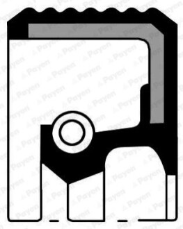 Сальник FRONT FORD, PSA 35X50X7/AW RD PTFE Payen NA5323