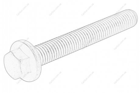 Гвинт шестерні колінвалу Peugeot/Citroen 013266
