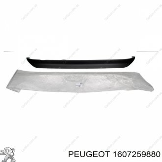 Облицювання бампера Peugeot/Citroen 1607259880