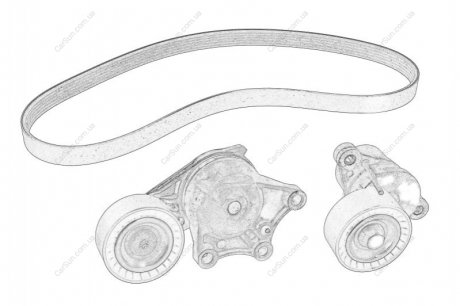 Комплект поліклинових ременів Peugeot/Citroen 1678169480 (фото 1)