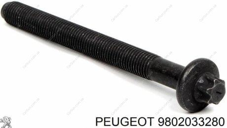 Гвинт голівки циліндра Peugeot/Citroen 9802033280