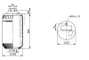 Пневмоподушка PHOENIX 1 DF 20 G-2 NP (фото 4)