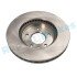 TARCZA HAM. OPEL ANTARA 2,0CDTI 08- 295X29 PRZУD Rap RD0232 (фото 4)