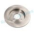 TARCZA HAM. FORD FOCUS 98- 252,5X10 TYЈ Rap RD0849 (фото 4)