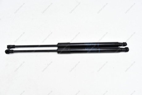 Амортизатор крышки багажника Duster - RENAULT 904522228R