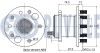 Підшипник маточини (задньої) Toyota Camry/Lexus ES 01-12 RUVILLE 221472 (фото 2)