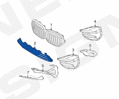 Решітка в бампер Signeda PBM99284A