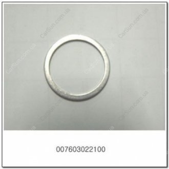 Кольцо уплотнительное (металл) SSANGYONG 007603022100 (фото 1)