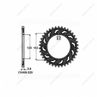 Зубчасте колесо ланцюга Sunstar SUNR1355949