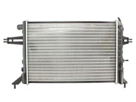 Радиатор охлаждения двигателя - (9202496 / 90570725 / 1300213) THERMOTEC D7X001TT (фото 1)