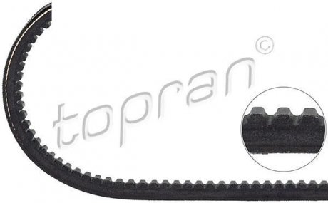 Ремень привода навесного оборудования TOPRAN 100 229 (фото 1)