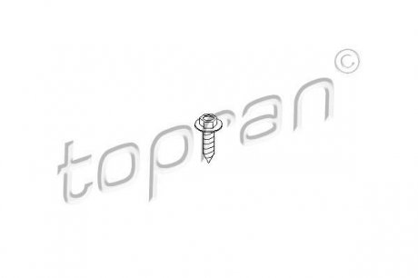 Болт TOPRAN 109 315 (фото 1)
