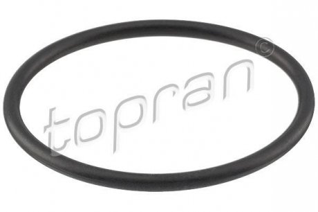 Прокладка, термостат TOPRAN 113 298 (фото 1)