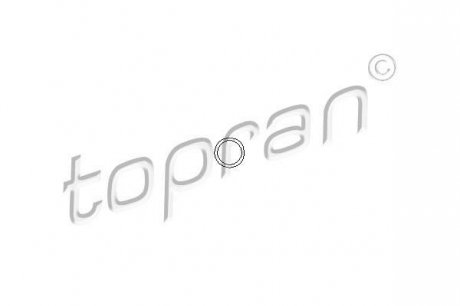 Прокладка, болт крышка головки цилиндра TOPRAN 206 528 (фото 1)