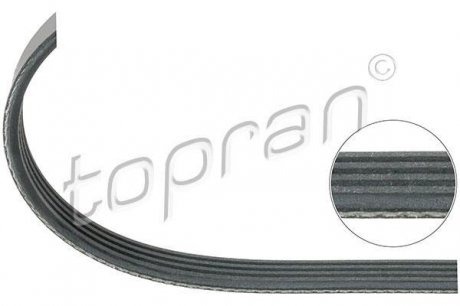 Ремень привода навесного оборудования TOPRAN 500 683 (фото 1)