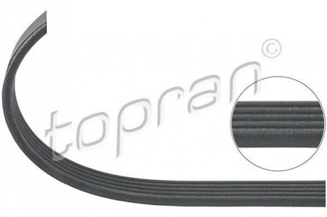 Ремень привода навесного оборудования TOPRAN 101 115 (фото 1)