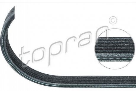 Ремень привода навесного оборудования TOPRAN 109 659 (фото 1)