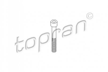 Болт, корпус скобы тормоза TOPRAN 110 707 (фото 1)