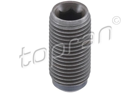 Galvanized Hex bolts TOPRAN 115129 (фото 1)