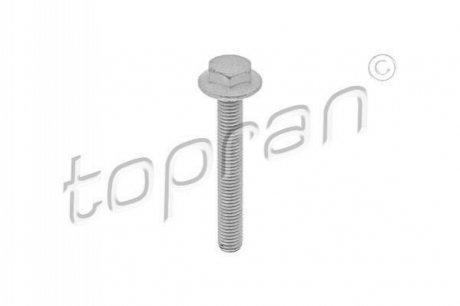 Болт кріплення важеля TOPRAN 115806 (фото 1)