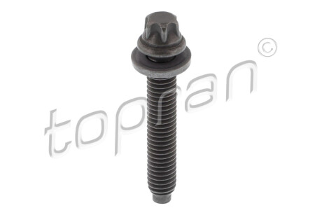 ГВИНТ M6X1X41 8.8 TORX ЗОВНІШН TOPRAN 504 538